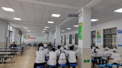 本网亦不承担任何法